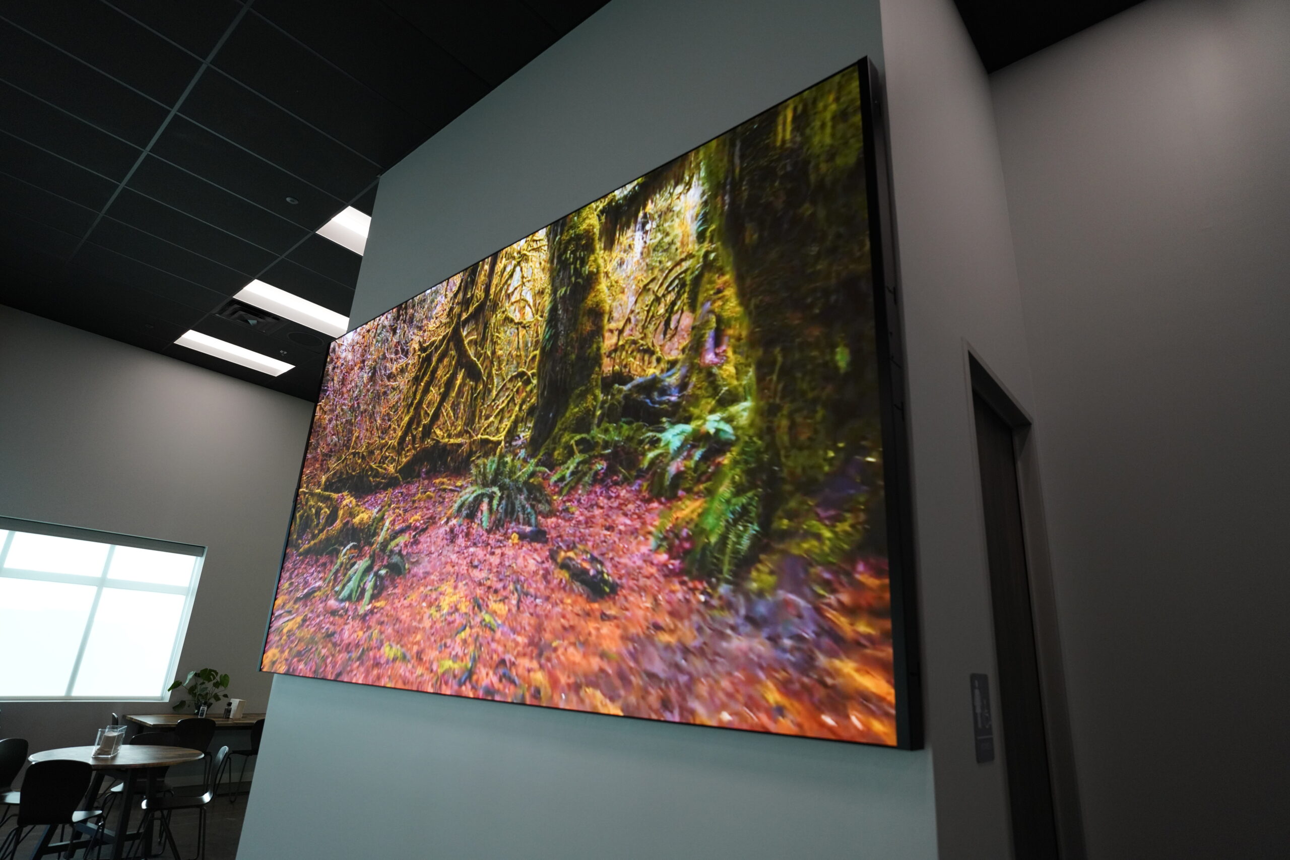Wall-mounted screen shows forest. Gray walls, white lit ceiling, window. Small table and chairs on the left.